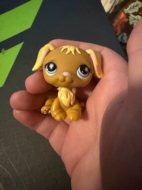 Golden retriever lps